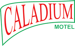 Logotipo Motel Caladium